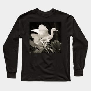 Cattle egret courtship display Long Sleeve T-Shirt